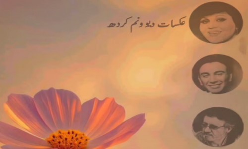 هایده شادمهر معین عکسات دیوونم کرده